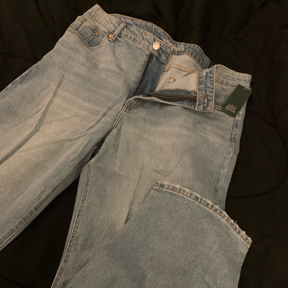 Wild Fable Jeans